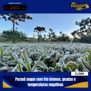 Paraná segue com frio intenso, geadas e temperaturas negativas